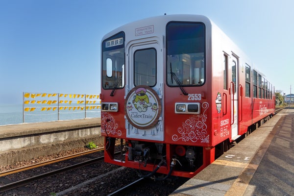 「しまてつカフェトレイン」で楽しむ地元グルメとしまばら火張山花公園 春の花まつり日帰りバスツアー🚌3